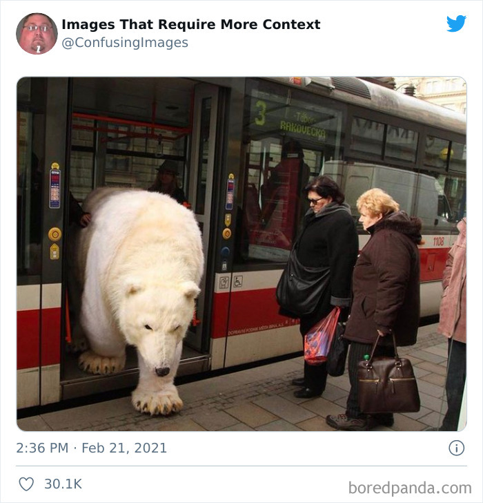 Potret kocak binatang yang tidak pada tempatnya ini bikin cengar cengir